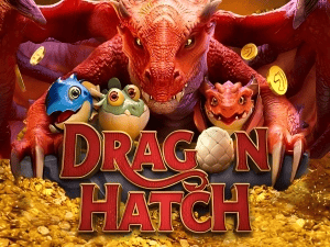 Dragon Hatch slot online popular